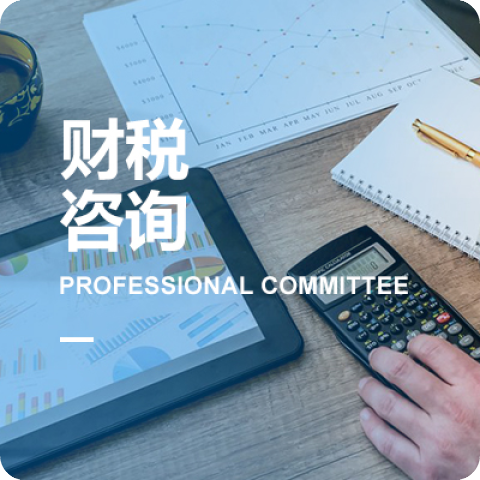 关于我们 专业委员会信息技术咨询服务