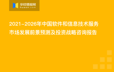 2021-2026年中国信息技术咨询服务市场发展前景与投资战略研究